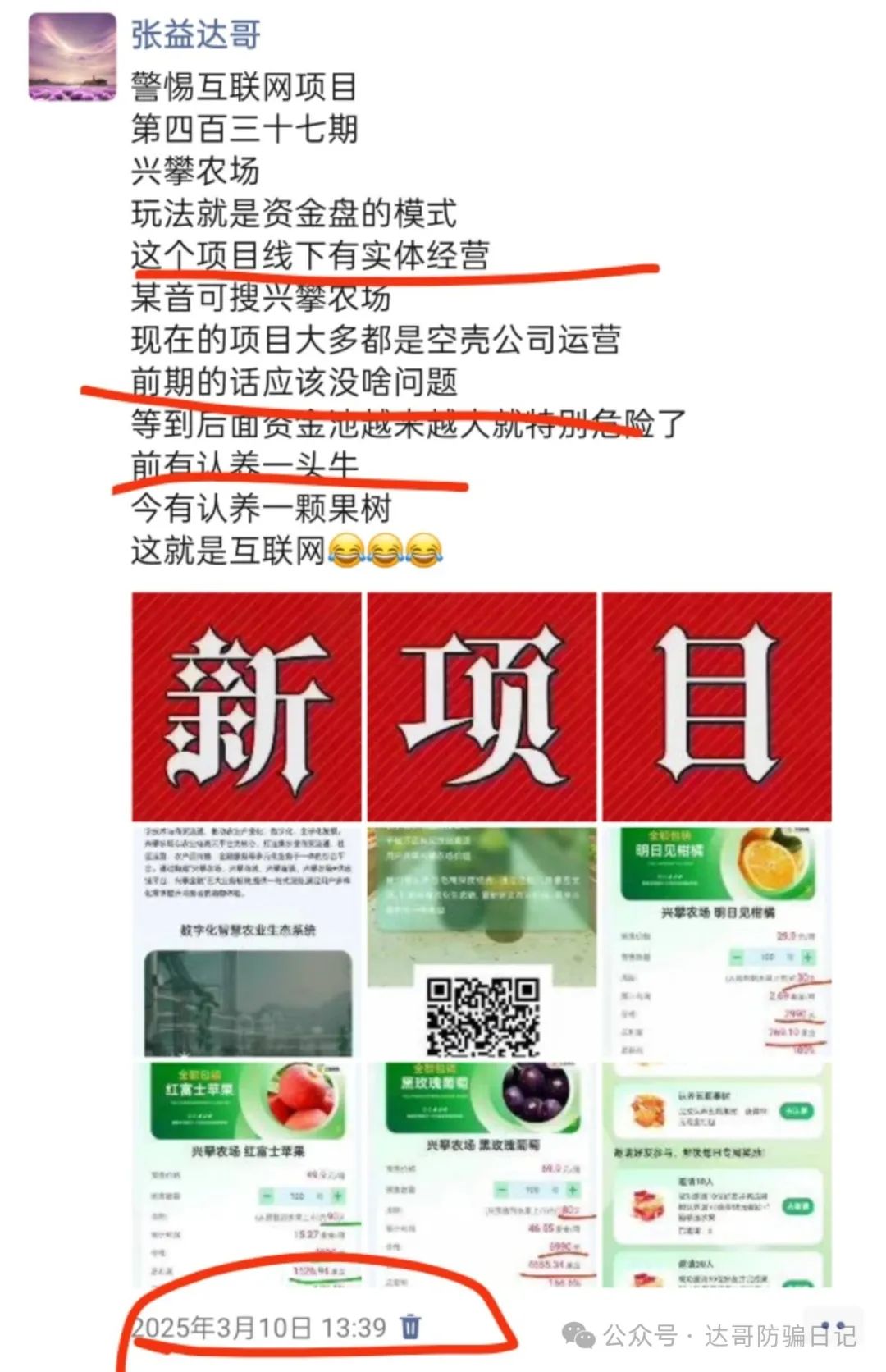 预警提醒【兴攀农场】大额产品上线，集资项目背后的风险一定要警惕！