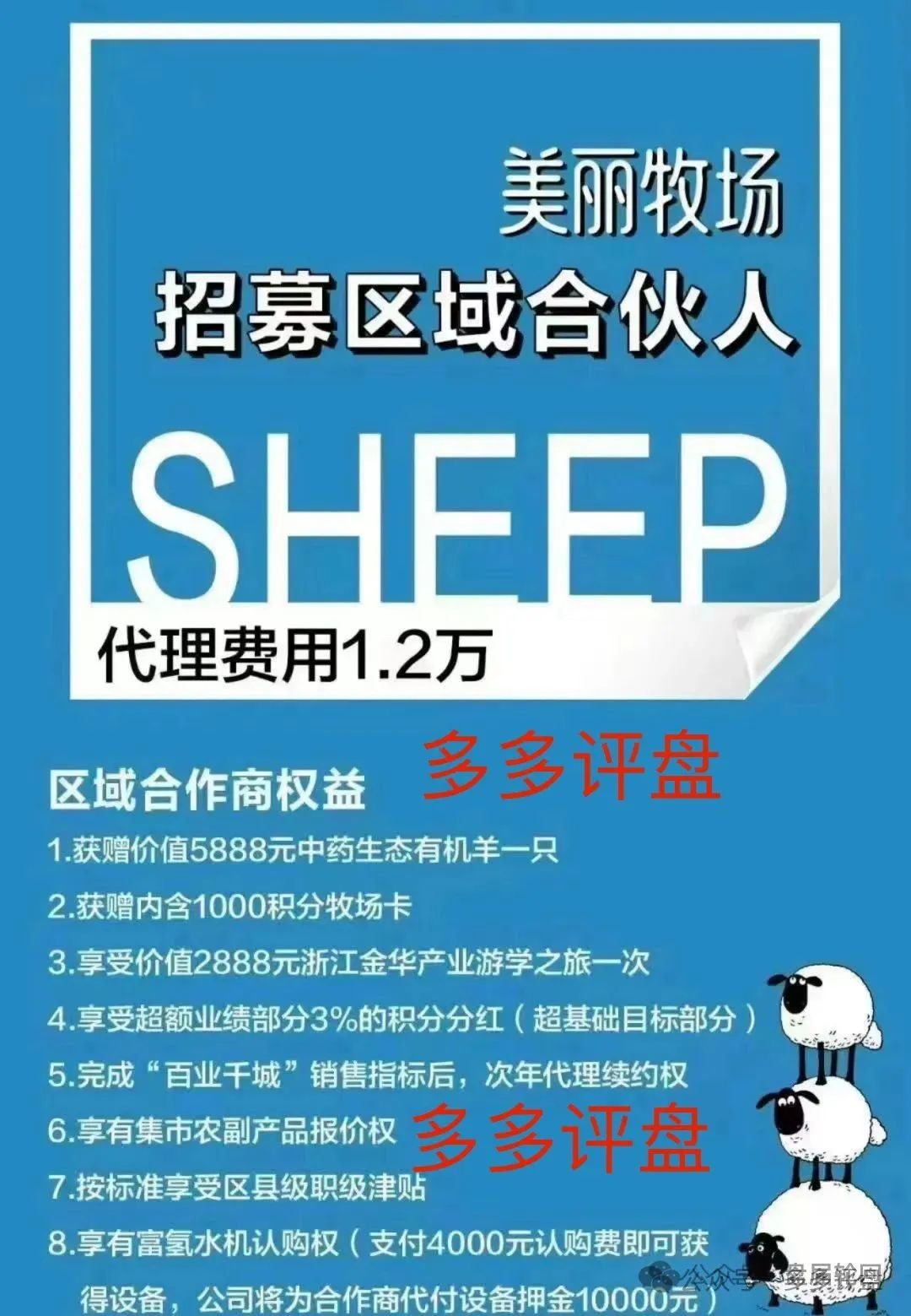 【美丽牧场】不美丽：“羊霸天”的羊毛，还没出栏就被薅秃了！