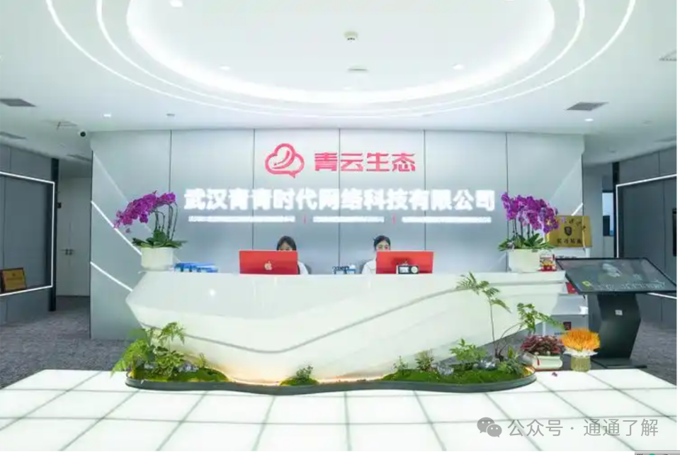 【青云租】爆雷揭秘：年化16.8%的“躺赚”骗局，如何让数千投资者血本无归？