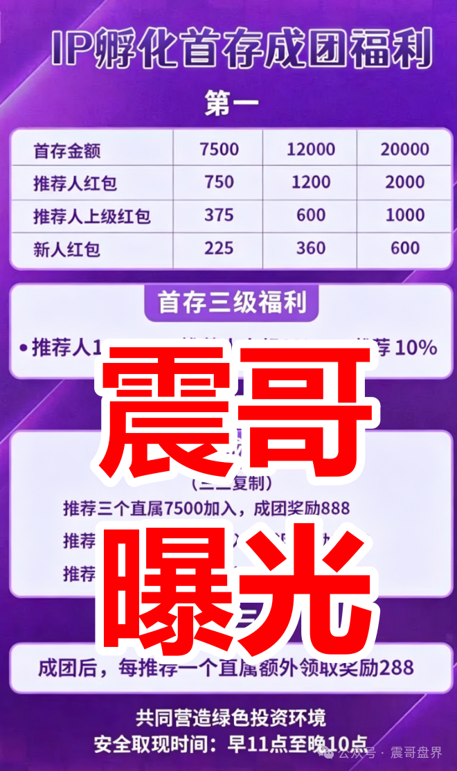 【HAVAS（汉威士）】IP孵化资金盘骗局，拉人头涉嫌违法，看见远离！