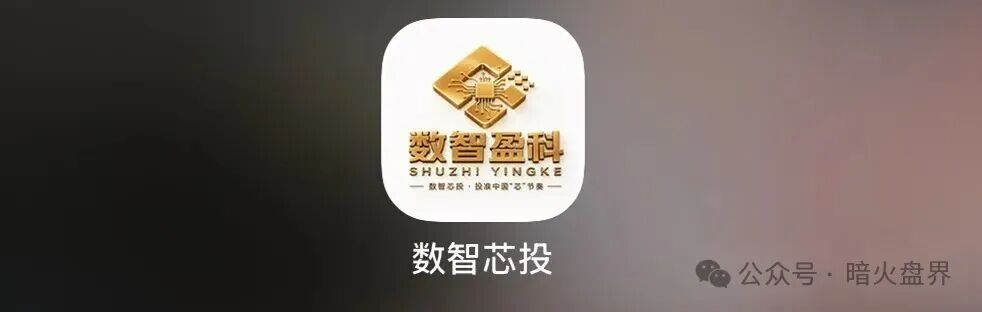“数智盈科”数智芯投 iChip 盈纯资金盘，千万别投，守住自己的血汗钱！