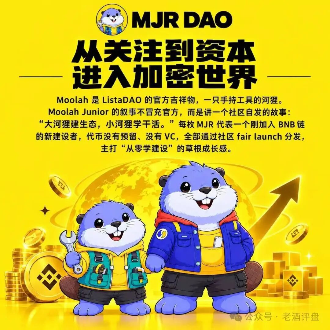 警惕MJR穆拉小跟班：包装IP叙事的链上高风险币种骗局！！